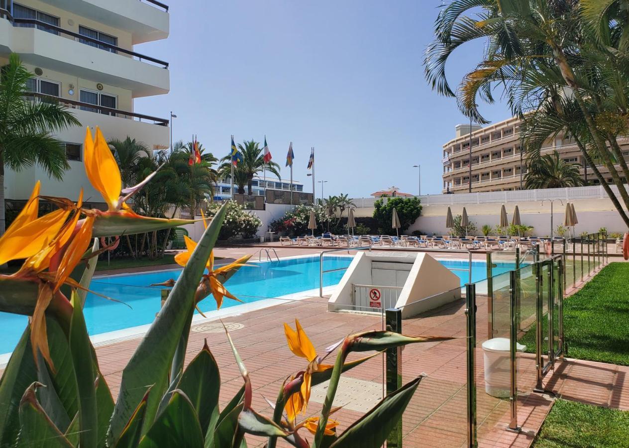Camelias - Exclusive Playa del Inglés